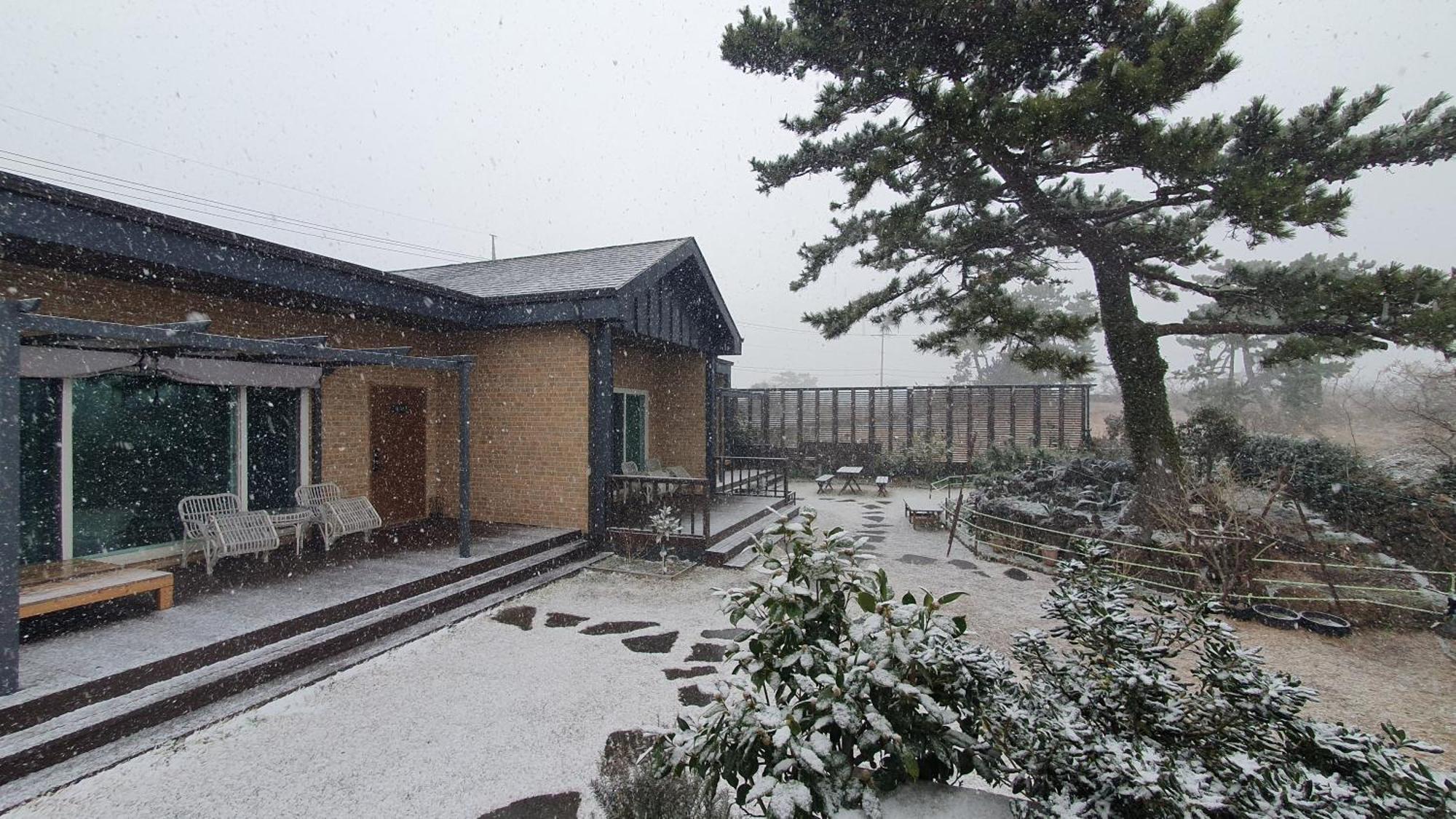 Wind Jeju Cafe & Pension Согвіпо Екстер'єр фото