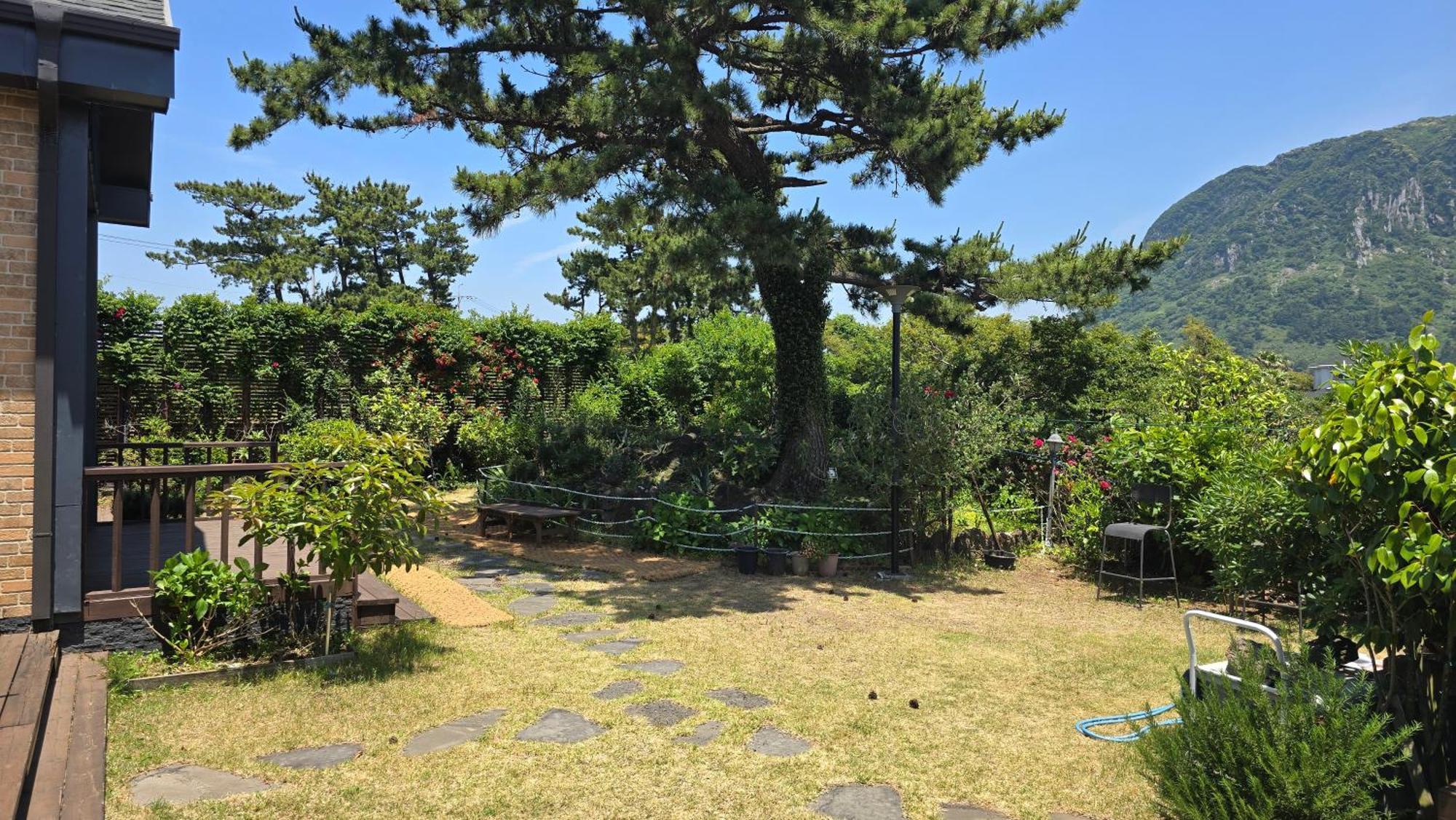 Wind Jeju Cafe & Pension Согвіпо Екстер'єр фото