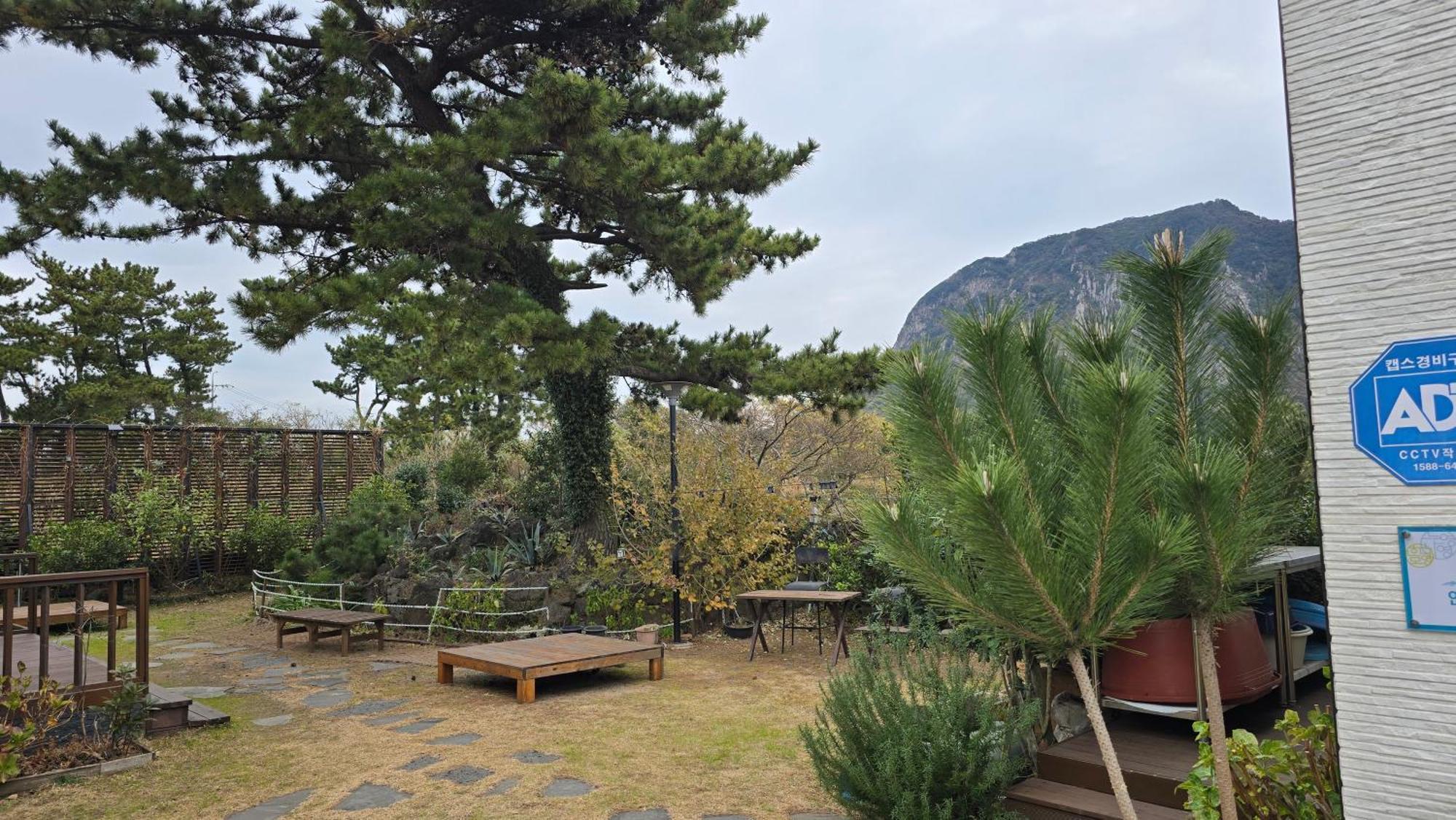 Wind Jeju Cafe & Pension Согвіпо Екстер'єр фото
