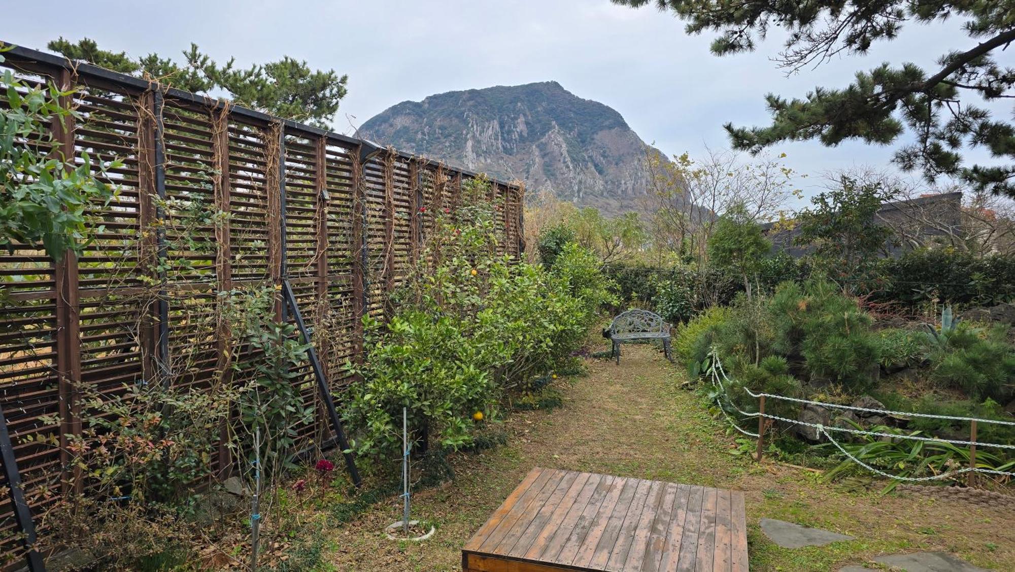 Wind Jeju Cafe & Pension Согвіпо Екстер'єр фото