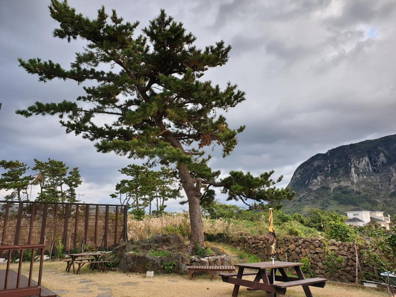 Wind Jeju Cafe & Pension Согвіпо Екстер'єр фото