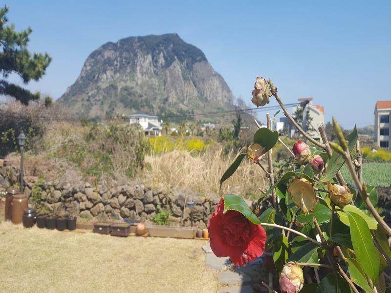 Wind Jeju Cafe & Pension Согвіпо Екстер'єр фото